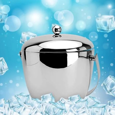 FnS Stainless Steel Apple Ice Bucket with Ice Tong