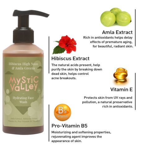 Face Wash | Hibiscus & Amla | Damage Skin | 200 ml