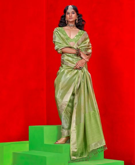 SAREE MALL Women's Viscose Light Green Embellished Designer Saree With Blouse Piece