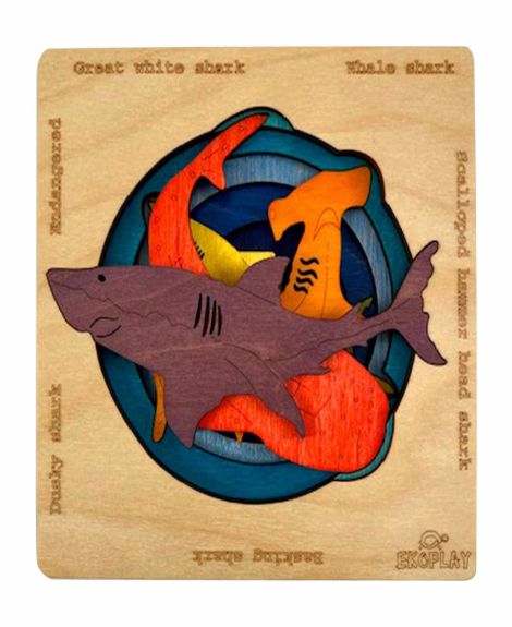 Ekoplay-Endangered Sharks wooden puzzles