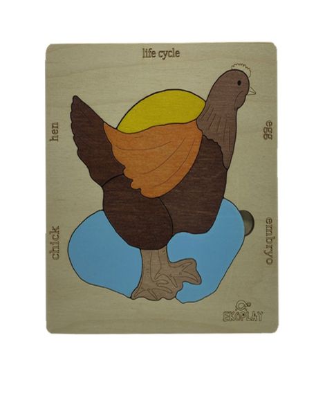 Ekoplay-Life Cycle of a Chicken wooden puzzles